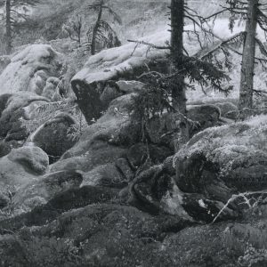 Achenbach, Andreas: Waldstudie aus Norwegen, 1839