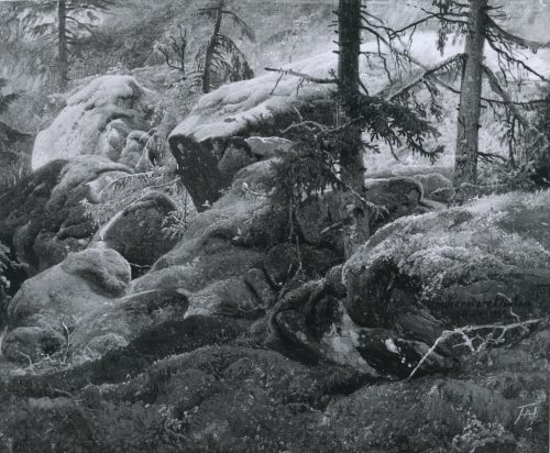 Achenbach, Andreas: Waldstudie aus Norwegen, 1839