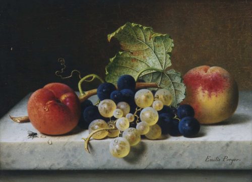 Preyer, Emilie: Früchtestillleben