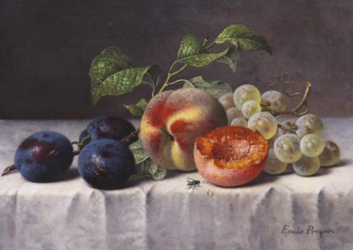 Preyer, Emilie: Früchtestillleben