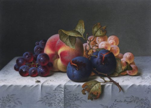 Preyer, Emilie: Früchtestillleben