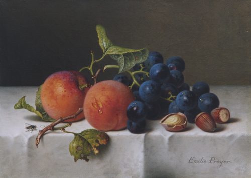 Preyer, Emilie: Früchtestillleben