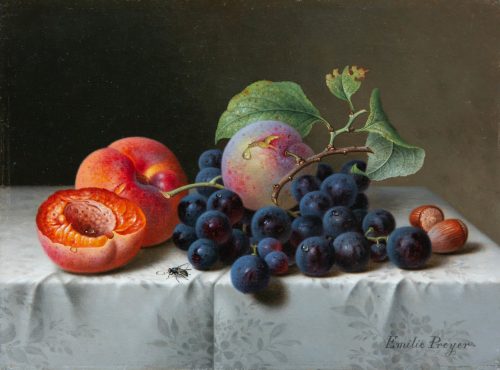 Emilie Preyer: Früchtestillleben