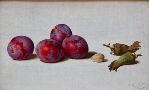 Johann Wilhelm Preyer: Vier Pflaumen, drei Haselnüsse