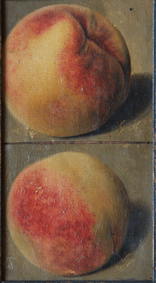 Johann Wilhelm Preyer: Zwei Pfirsiche, 1836